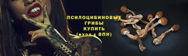 винт Сосновоборск