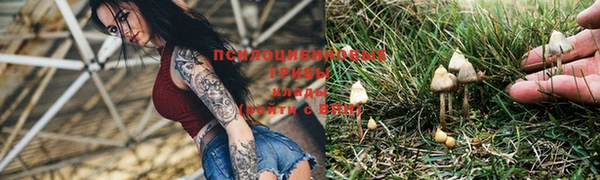 мдпв Богородицк
