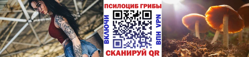Галлюциногенные грибы MAGIC MUSHROOMS  Кирс 